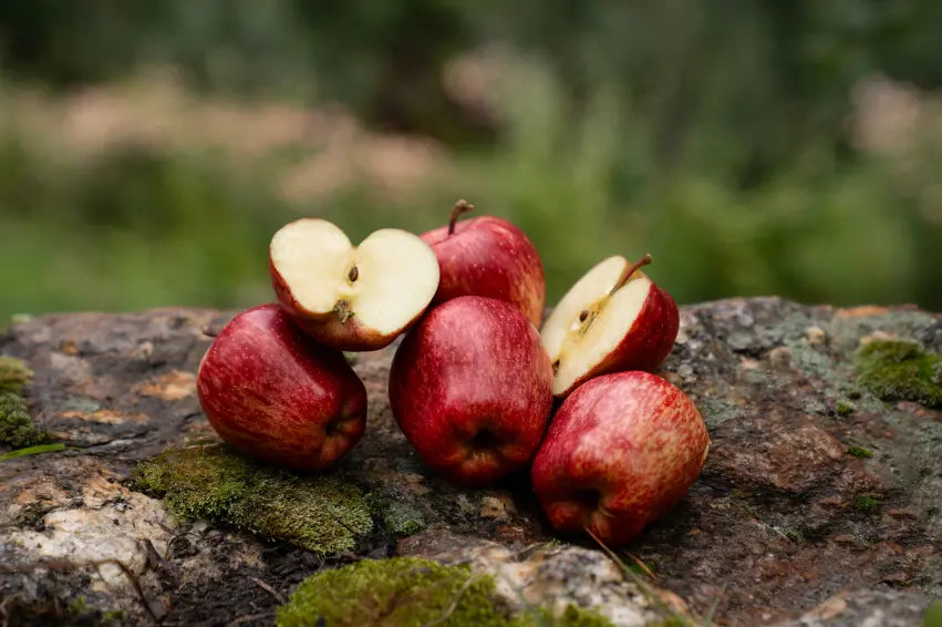 Red Royal Kinnaur Apples - 5kgs
