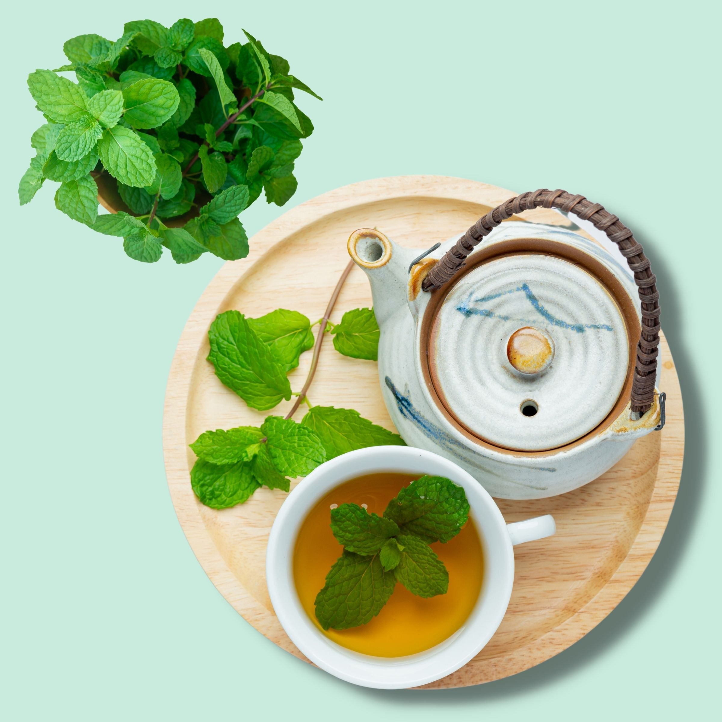 Himalayan Peppermint Tea - 30gms | Pahari Haat