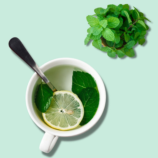Himalayan Peppermint Tea - 30gms | Pahari Haat