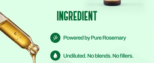 Rosemary Oil | My Pahadi Dukan