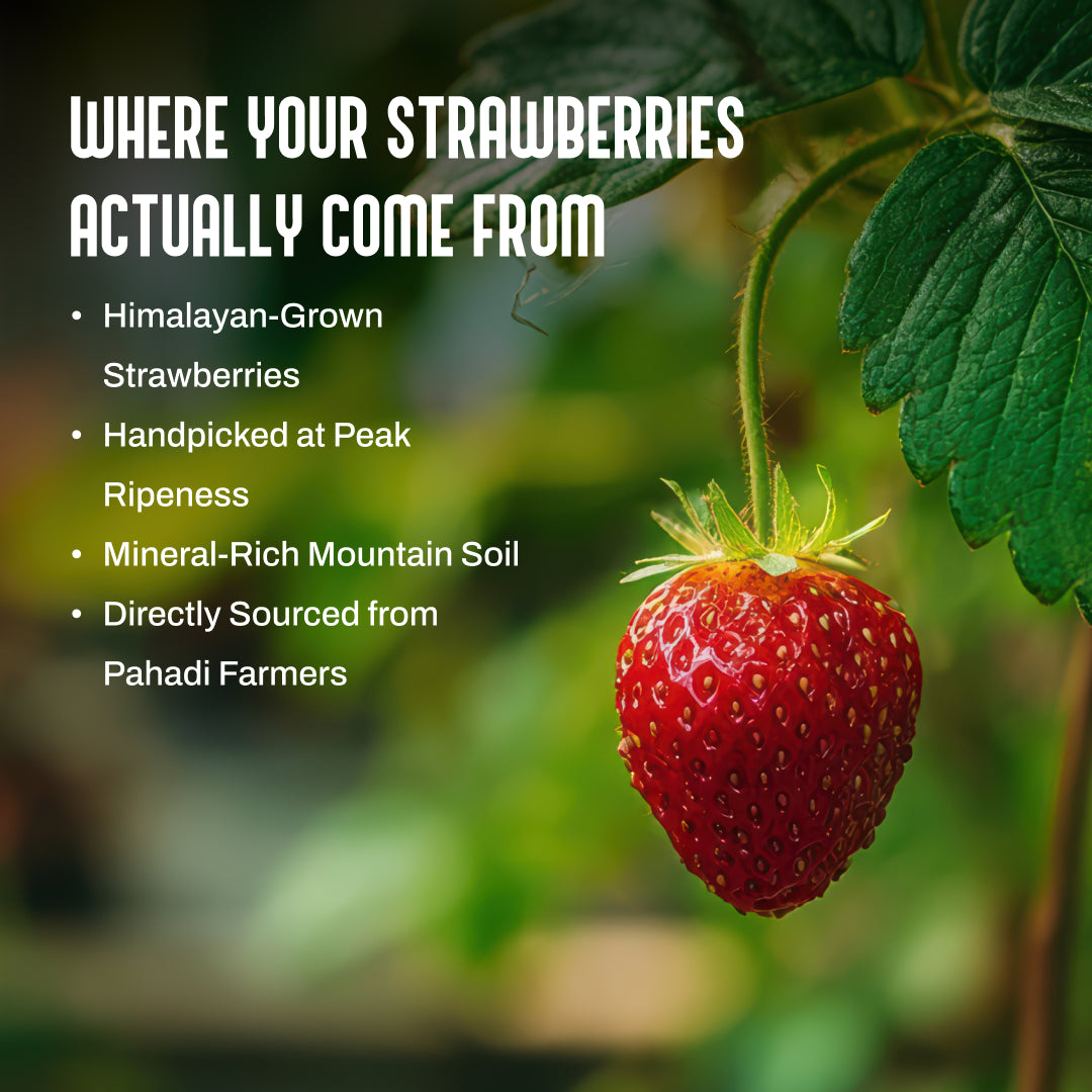Strawberry Lime Squash - 300ml | My Pahadi Dukan