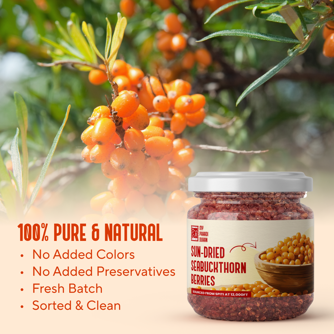 Premium Sea Buckthorn Berries (Dried Seabuckthorn) - 80gms | My Pahadi Dukan