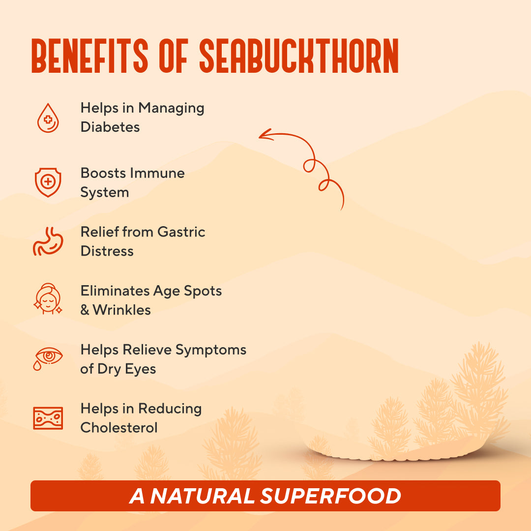 Premium Sea Buckthorn Berries (Dried Seabuckthorn) - 80gms | My Pahadi Dukan