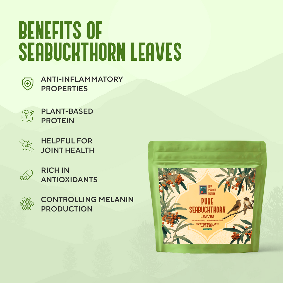 Green package of pure seabuckthorn leaves with a decorative label on a light green background