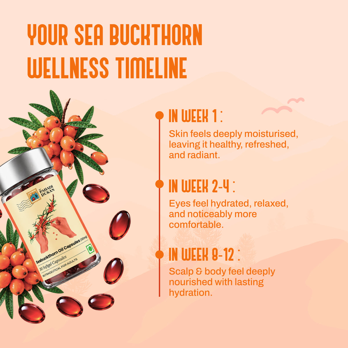 Seabuckthorn Oil Capsules (500mg Concentration) - 30 Capsules | My Pahadi Dukan