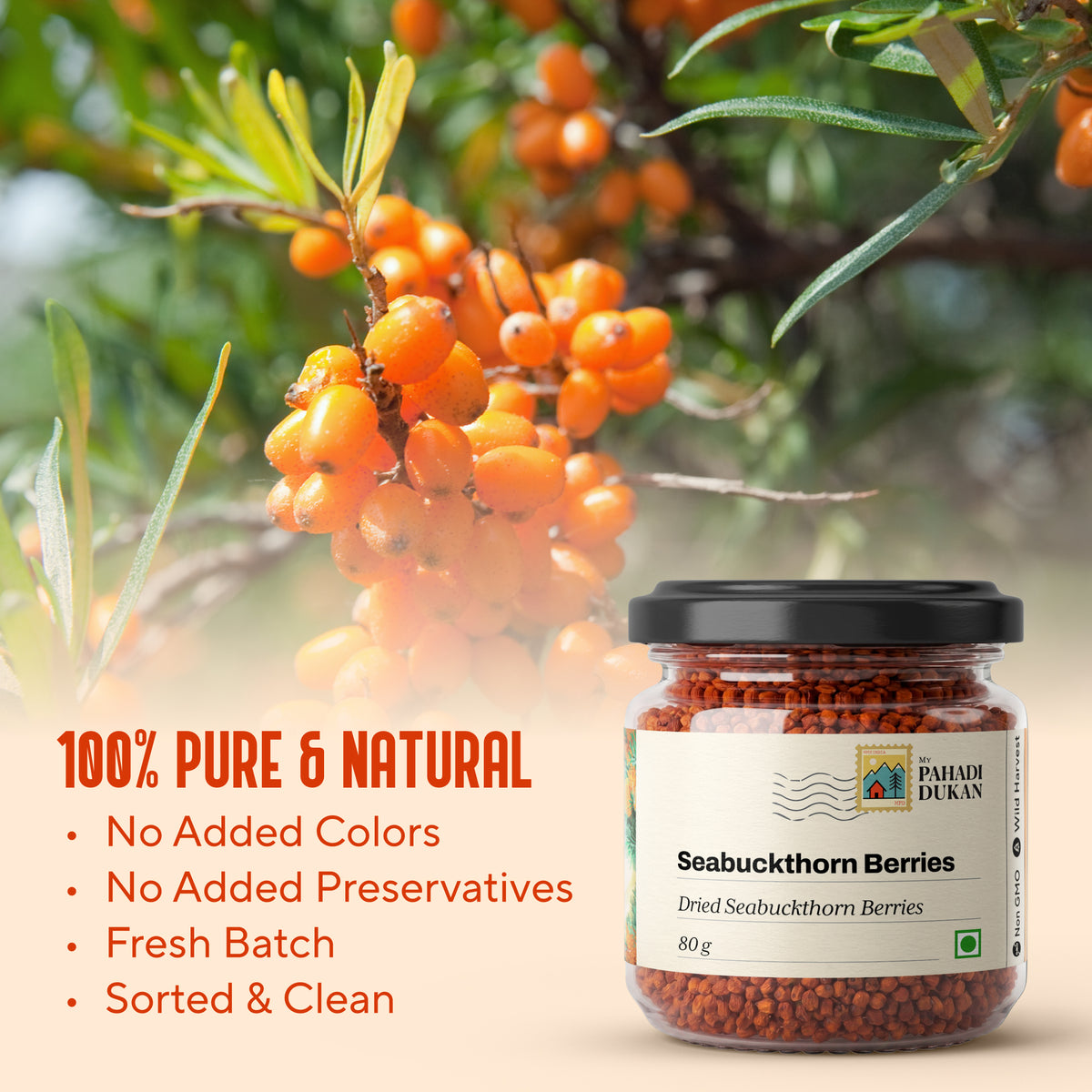 Premium Seabuckthorn Berries (Dried Seabuckthorn) | My Pahadi Dukan