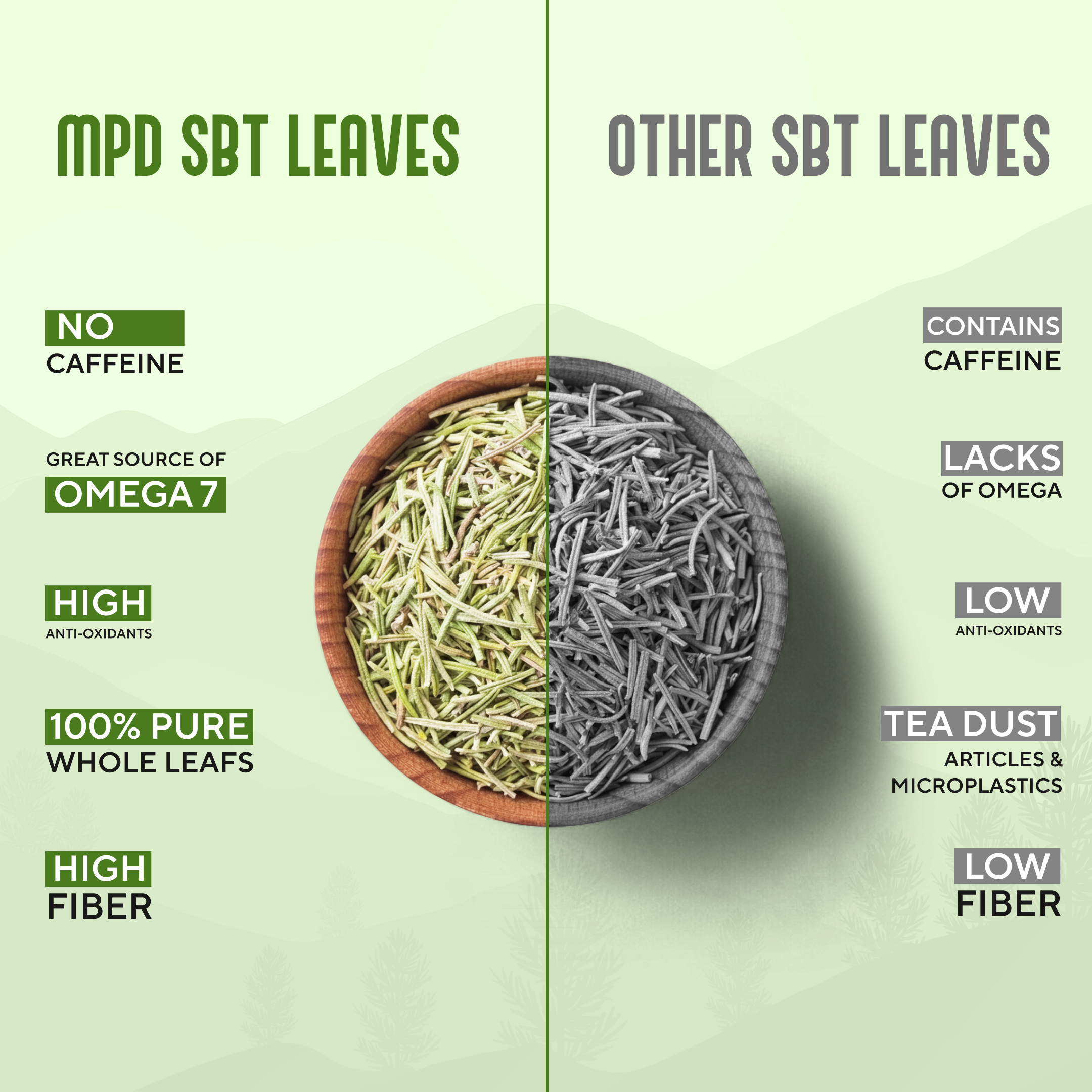 Comparison of MPD SBT leaves and other SBT leaves with text highlighting differences.