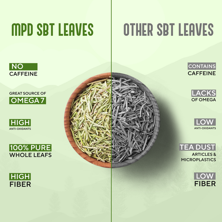 Comparison of MPD SBT leaves and other SBT leaves with text highlighting differences.