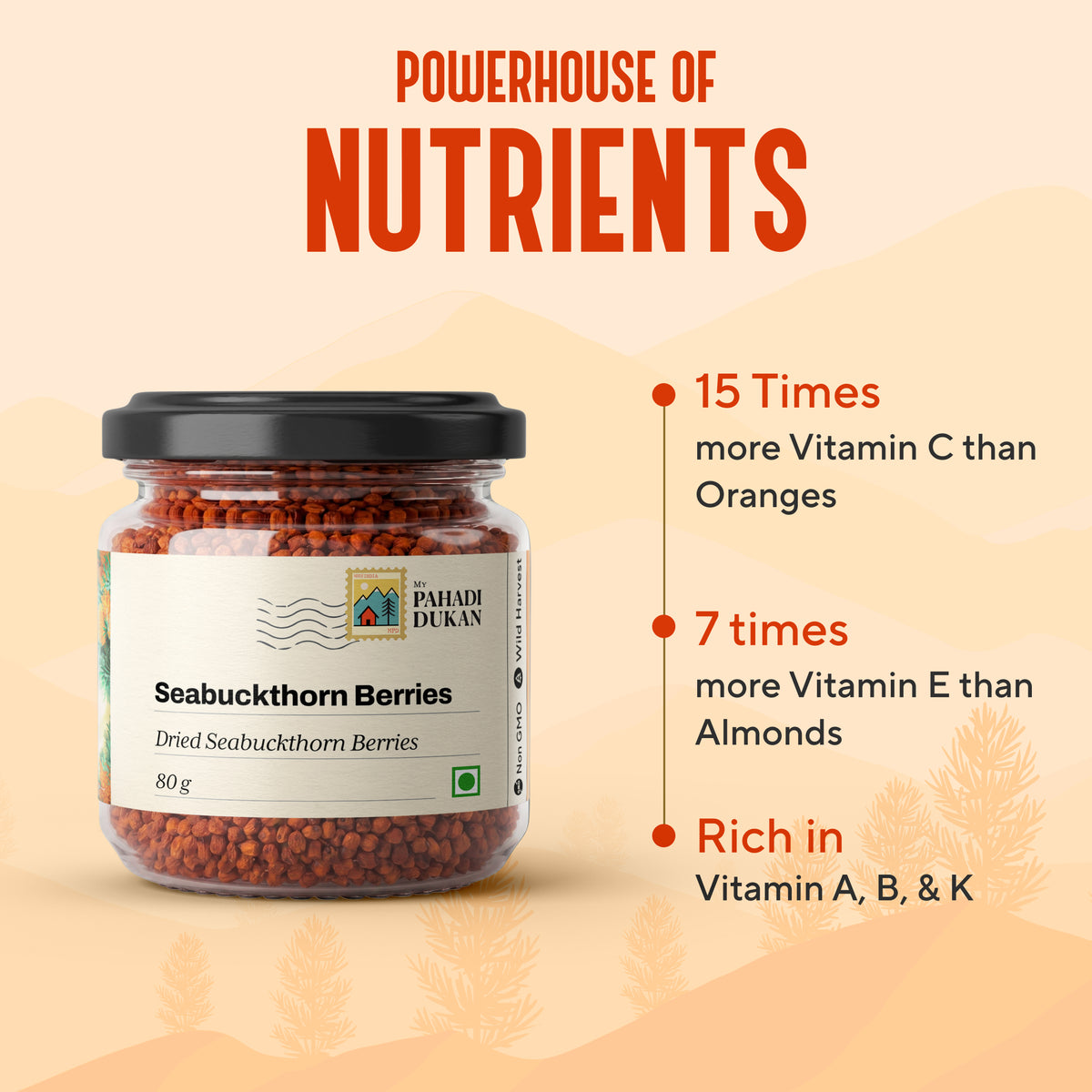 Premium Seabuckthorn Berries (Dried Seabuckthorn) | My Pahadi Dukan