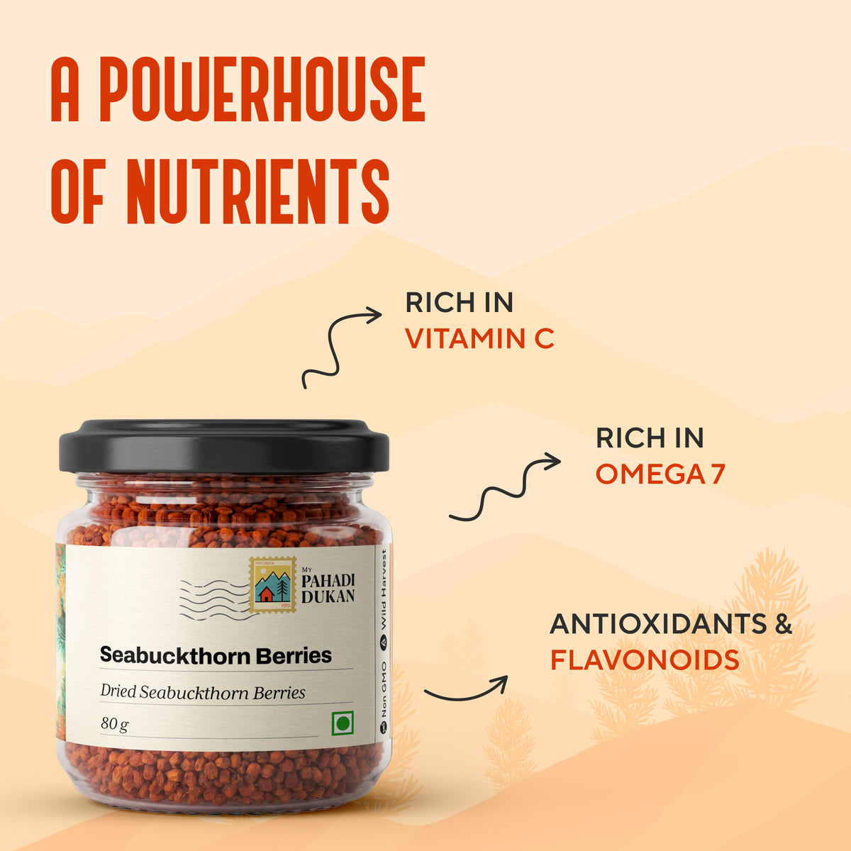 Premium Seabuckthorn Berries (Dried Seabuckthorn) | My Pahadi Dukan