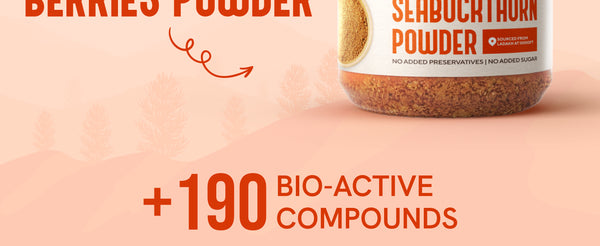 Sea Buckthorn Berry Powder - 100gms | My Pahadi Dukan