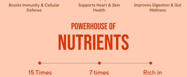 Sea Buckthorn Berry Powder - 100gms | My Pahadi Dukan