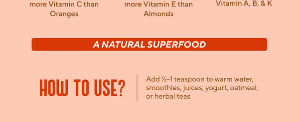 Sea Buckthorn Berry Powder - 100gms | My Pahadi Dukan