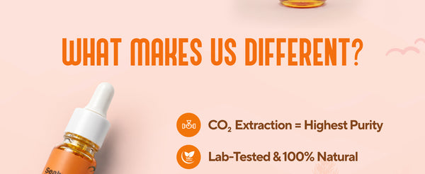 Sea Buckthorn Oil – CO₂ Extracted | My Pahadi Dukan