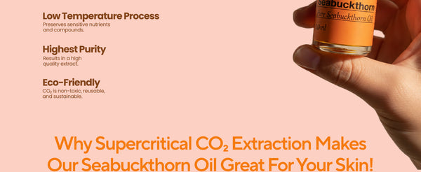 Sea Buckthorn Oil – CO₂ Extracted | My Pahadi Dukan