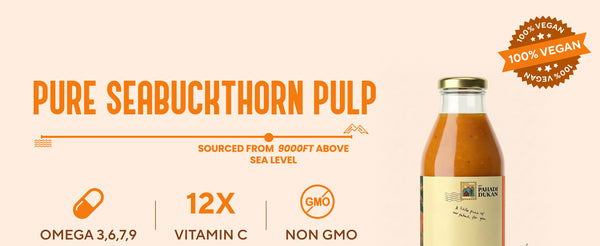 Sea Buckthorn Pulp (Juice) (Rich in Vitamin C, Omega 3,6,7 and 9 and Antioxidants) | My Pahadi Dukan