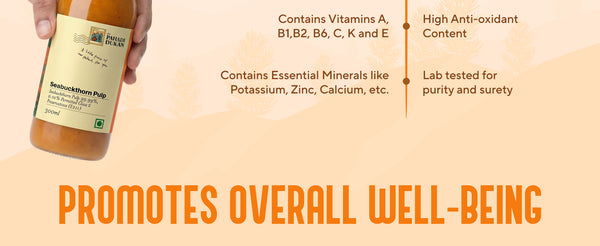 Sea Buckthorn Pulp (Juice) (Rich in Vitamin C, Omega 3,6,7 and 9 and Antioxidants) | My Pahadi Dukan