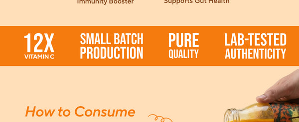 Sea Buckthorn Pulp (Juice) (Rich in Vitamin C, Omega 3,6,7 and 9 and Antioxidants) | My Pahadi Dukan