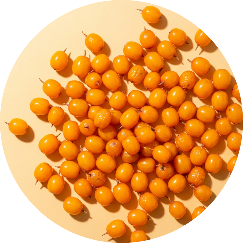 Sea Buckthorn