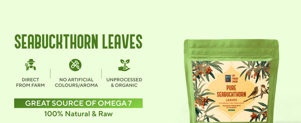 Pure Seabuckthorn Leaves - 50gms | My Pahadi Dukan