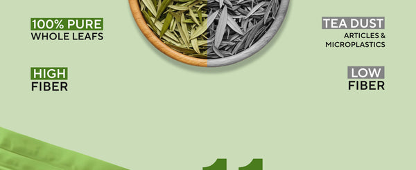 Pure Seabuckthorn Leaves - 50gms | My Pahadi Dukan