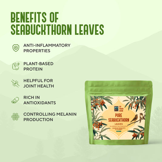 Pure Seabuckthorn Leaves - 50gms | My Pahadi Dukan