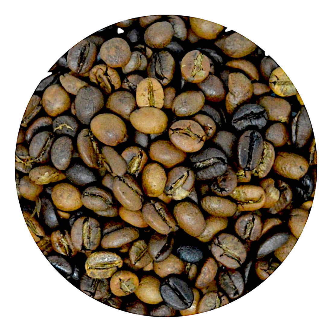 Himalayan Specialty Coffee – Special Blend (250 g) | Saakya