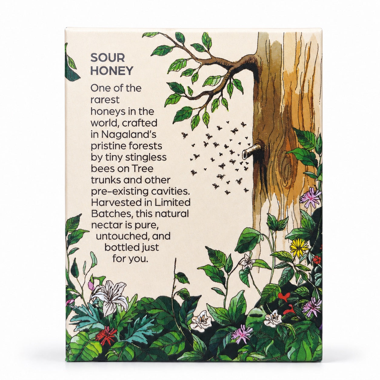 Putka Honey (Putka ko maha) from Stingless Bee (Melipona) - 120gms | Galho