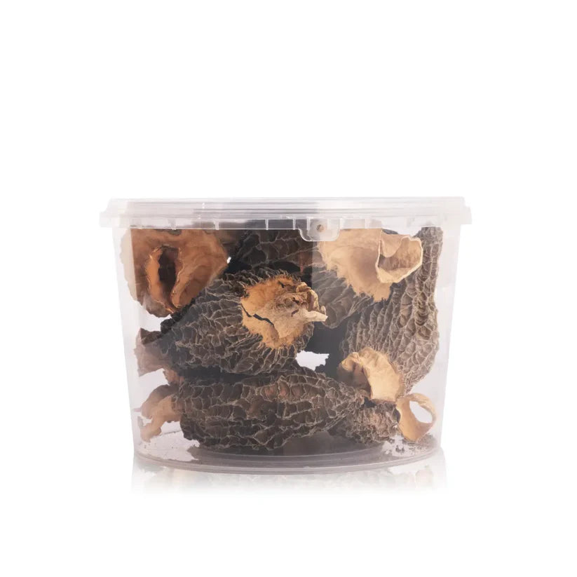 Premium Grade Jumbo Gucchi Mushroom