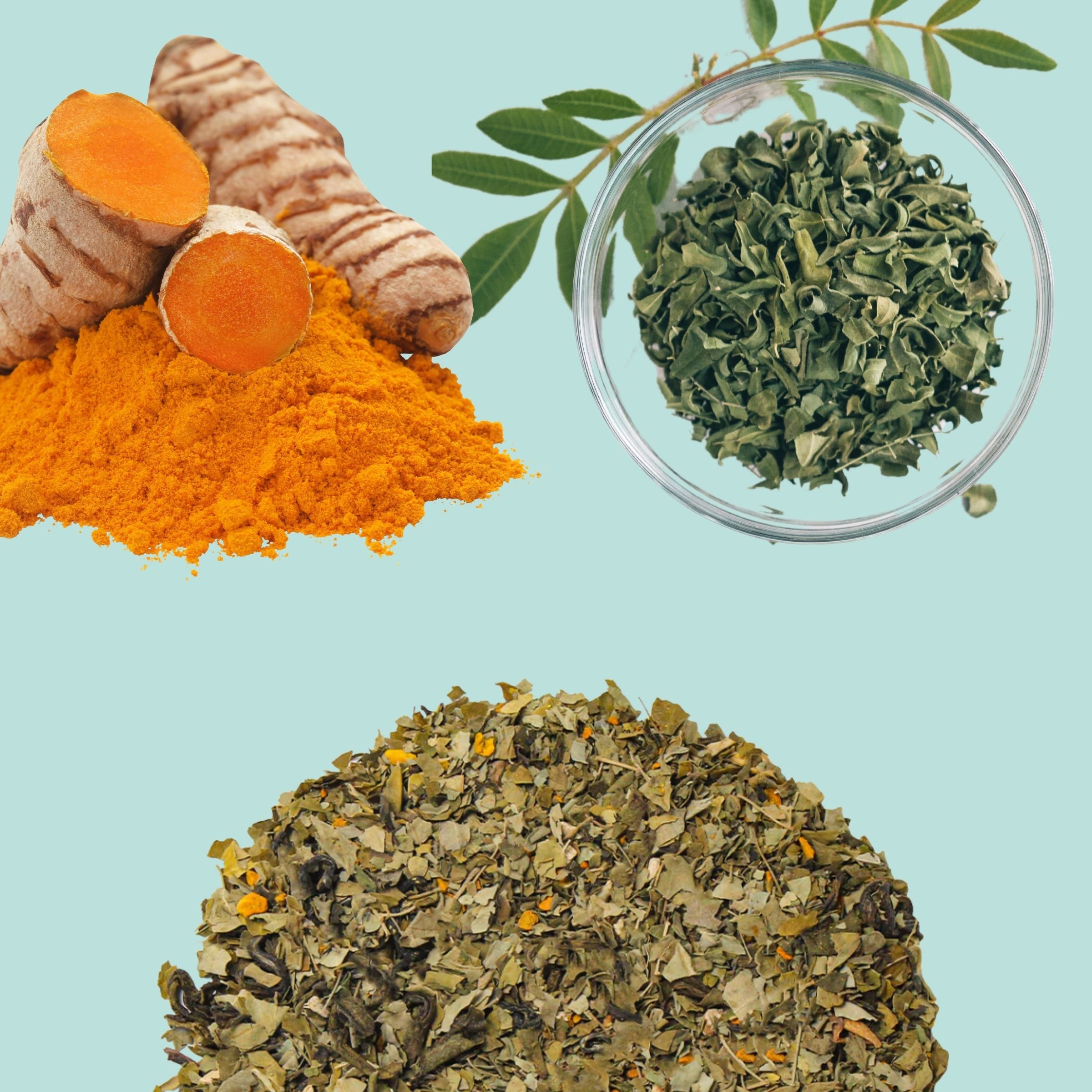 Turmeric-Moringa Tisane (Immunity Booster) - 50gms | Pahari Haat
