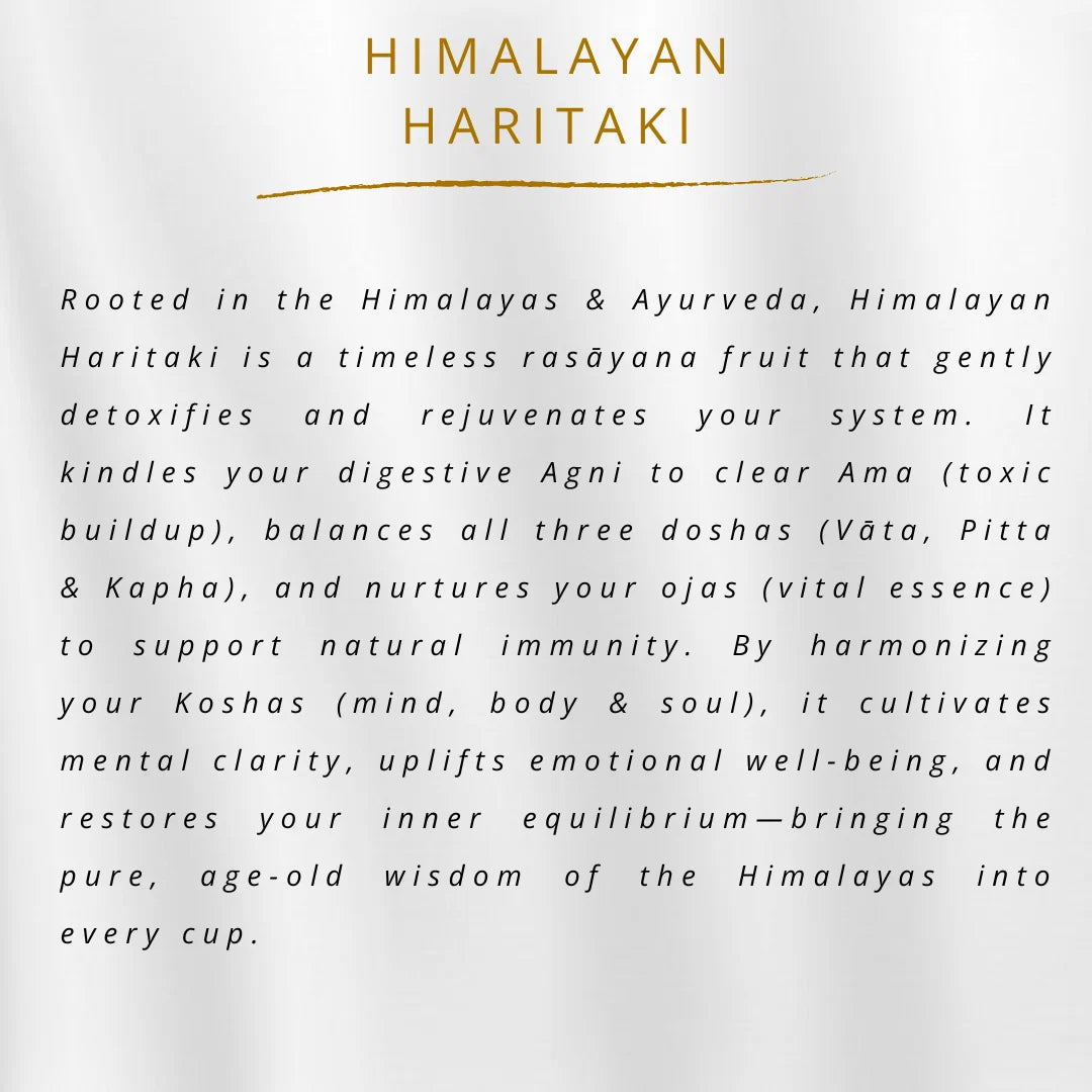Himalayan Haritaki Fruit Powder | 100 % Pure & Natural | Ayantara