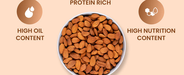 Single-tree Origin Premium Kashmiri Almonds (Badam) | My Pahadi Dukan