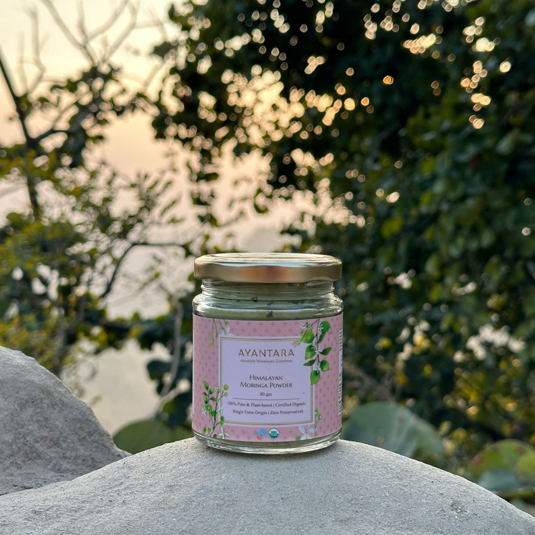 Buy Pure Himalayan Moringa Leaf Powder Online - Boost Your Wellness Journey 