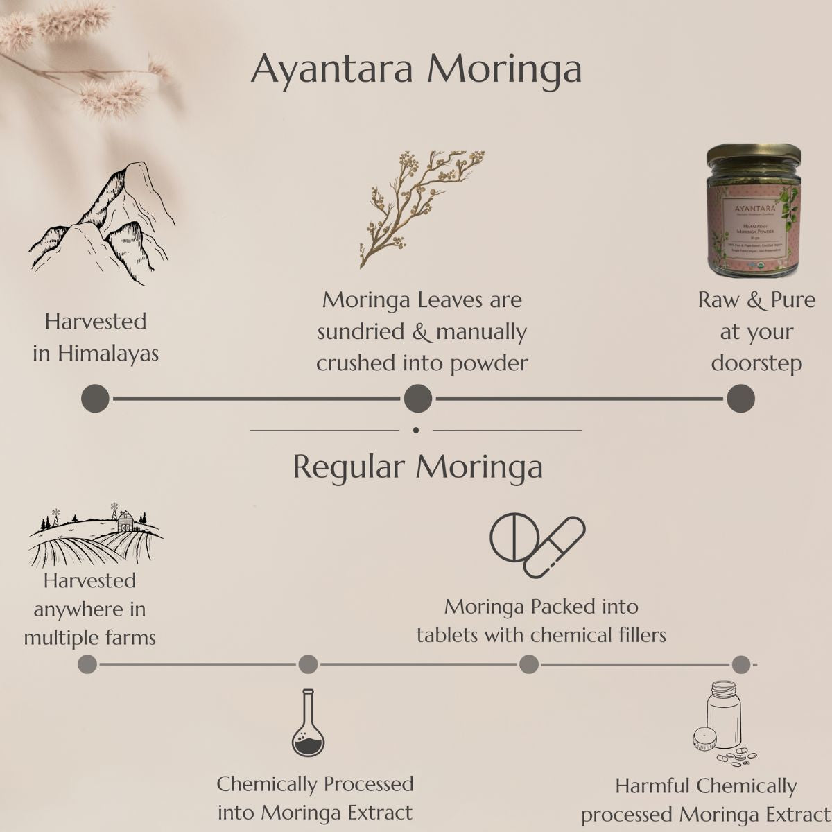 Himalayan Moringa Leaf Powder - 80gms | Ayantara