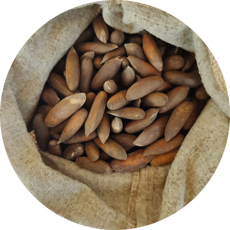 Pine nuts