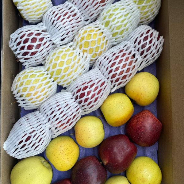 [Pre-order] Kinnaur Apples(Golden Kinnaur Apple, and Assorted Box (Golden/Black Gold) 5kgs