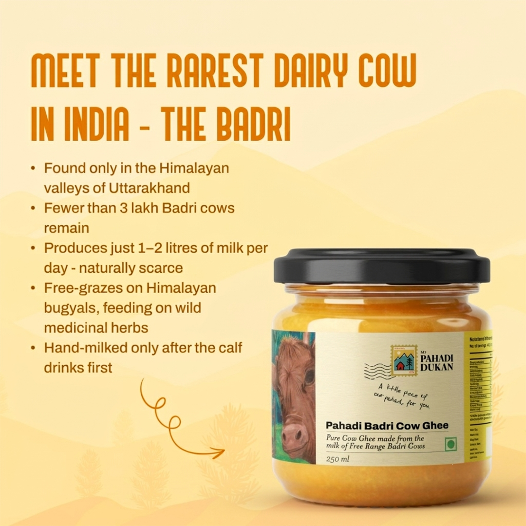 Pahadi Badri Cow Ghee (Desi Pahadi Ghee) | My Pahadi Dukan