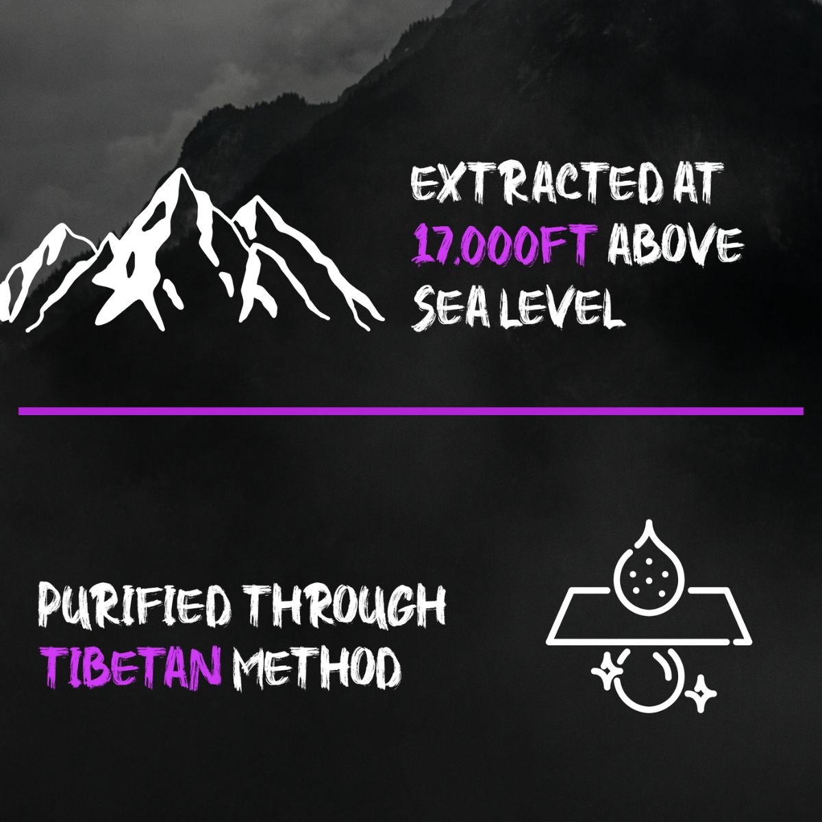 Pure Ladakhi Shilajit (Shilajeet) | My Pahadi Dukan