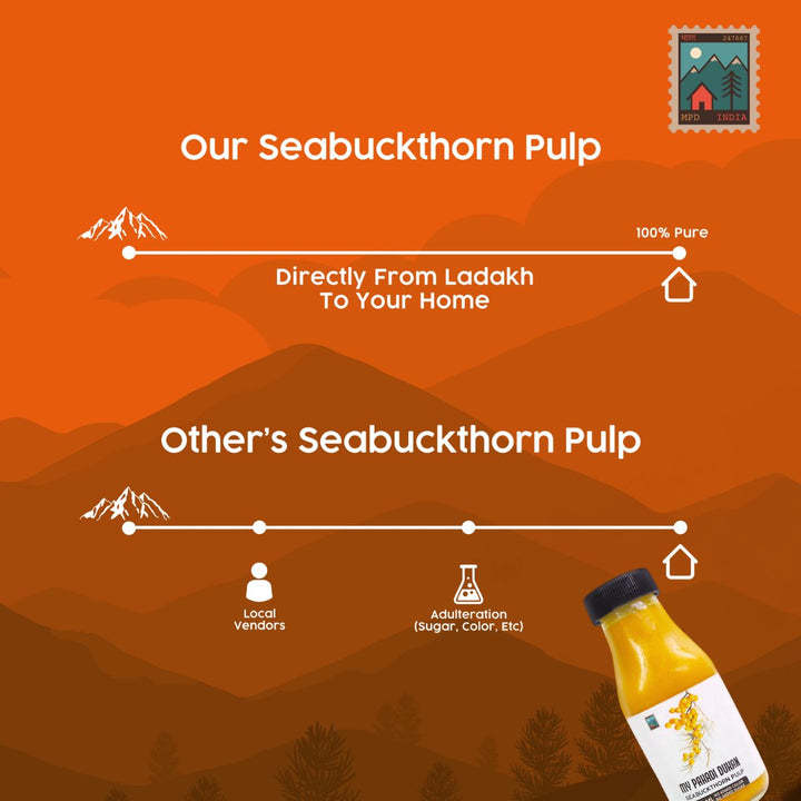 Sea Buckthorn Pulp (Rich in Vitamin C, Omega 3,6,7 and 9 and Antioxidants) Vegan Source supply chain