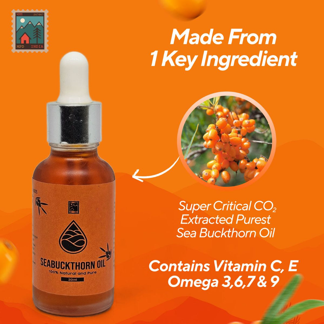 Sea Buckthorn Oil – CO₂ Extracted | My Pahadi Dukan