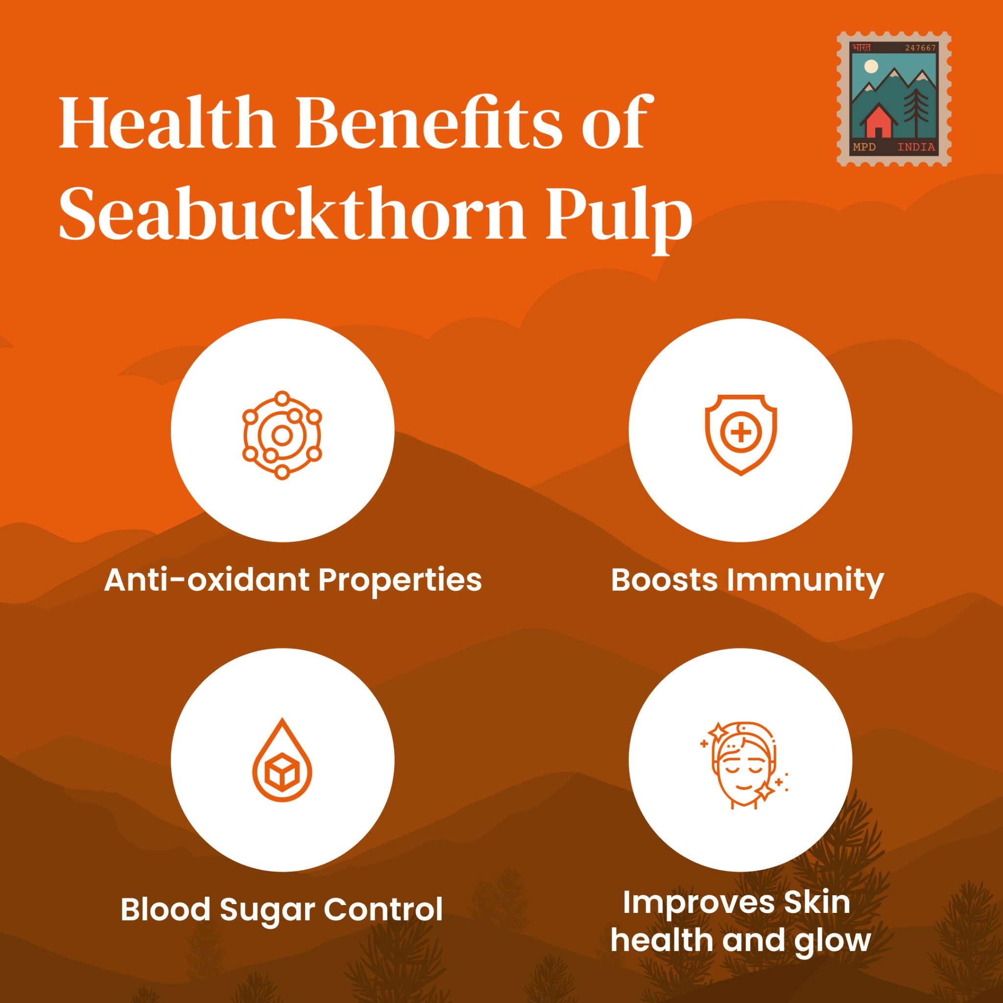 Seabuckthorn Wellness Bundle Pulp, Oil & Berries | My Pahadi Dukan