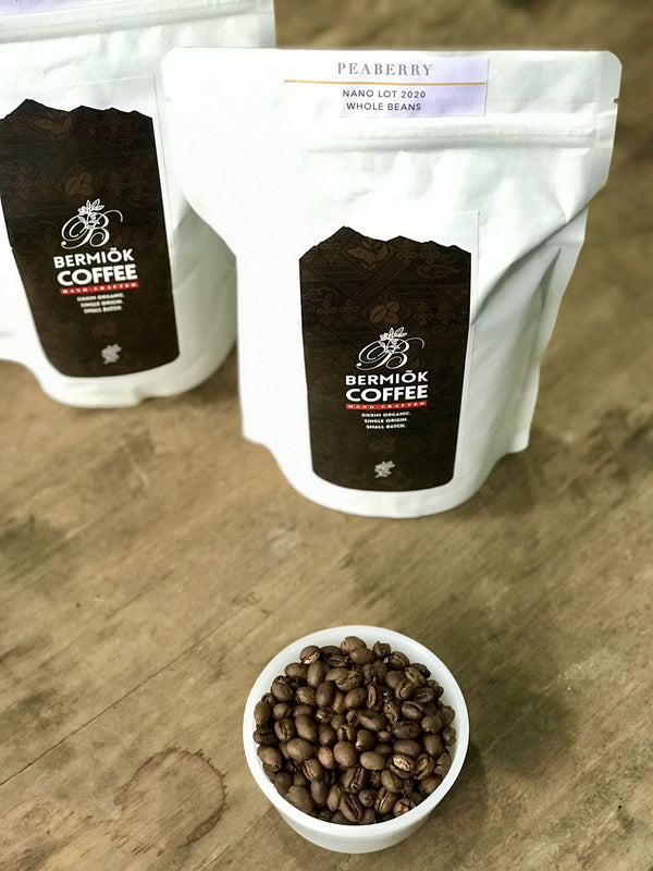 Buy 100% Arabica Kanchenjunga Peaberry Coffee 250gms - My Pahadi Dukan - Peaberry Coffee Online