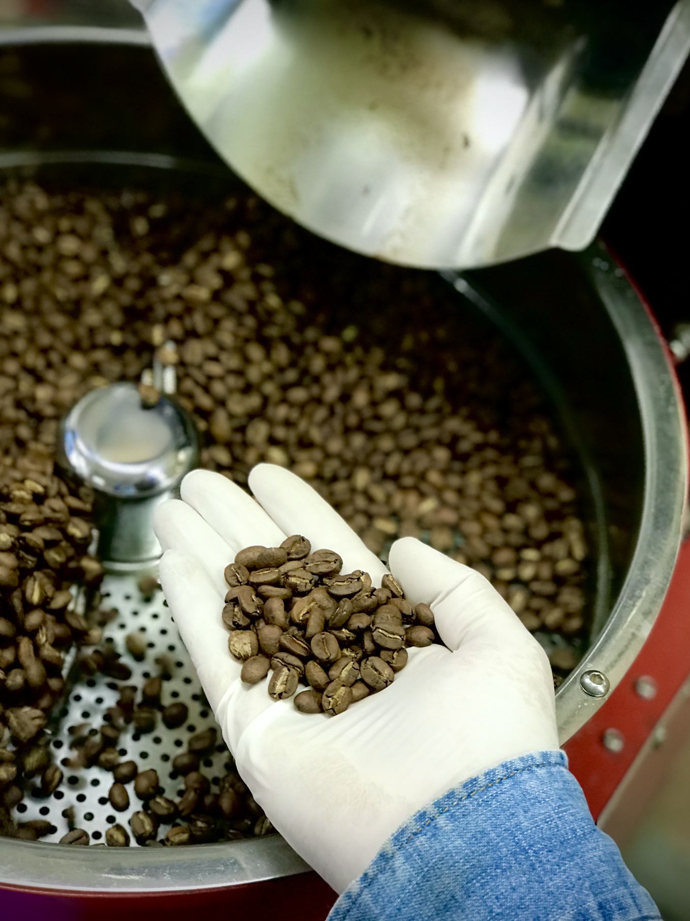 Buy 100% Organic Arabica Bermiok Farms Coffee 250gms - My Pahadi Dukan - Arabica Coffee Online