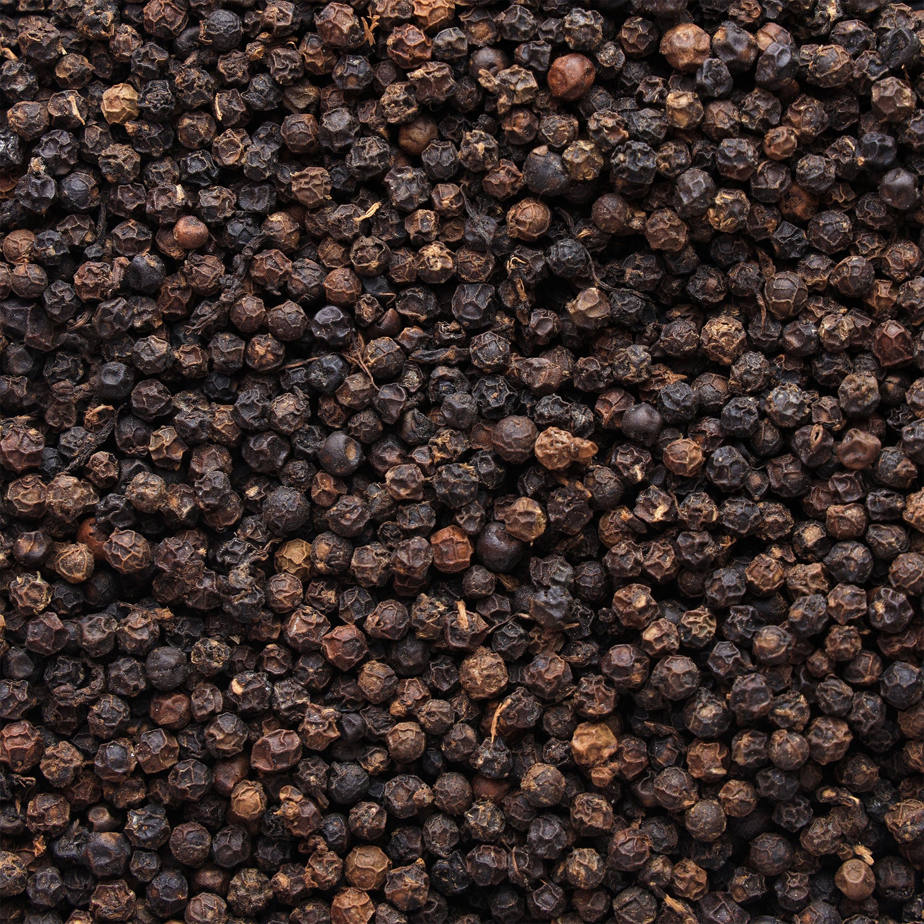 Whole Spice - Black Peppercorn 100gms | Pahari Roots