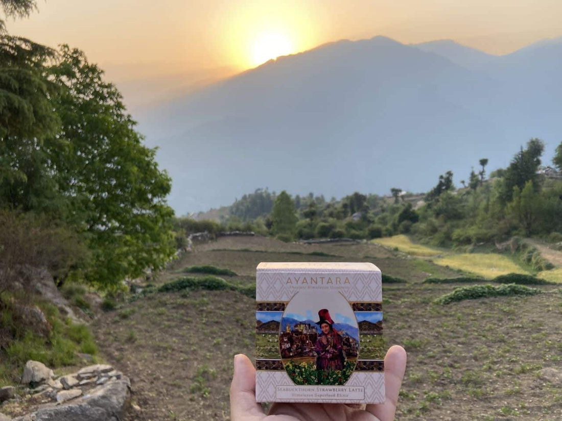 Seabuckthorn Strawberry Latte herbal tea