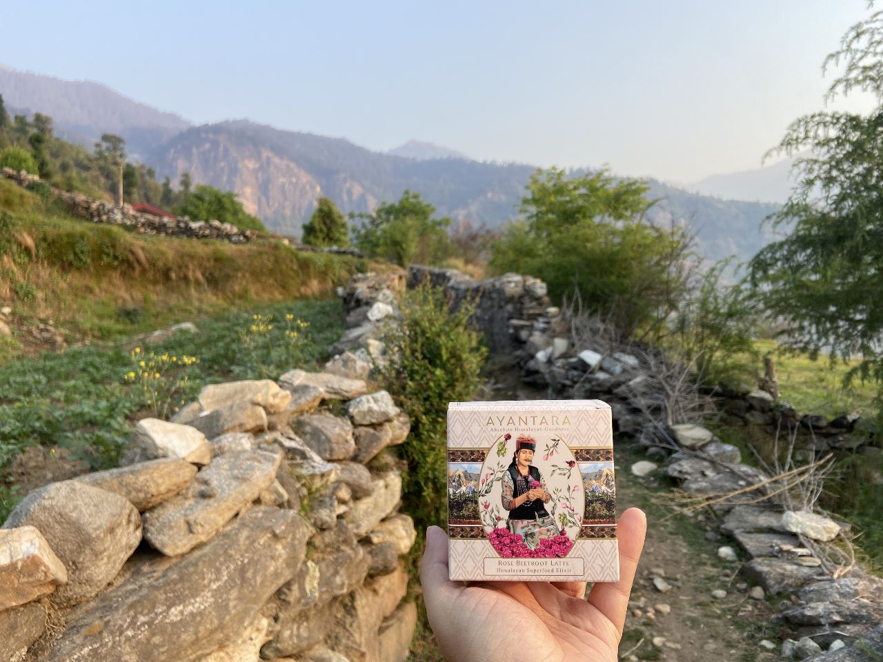 Rose beat latte herbal tea