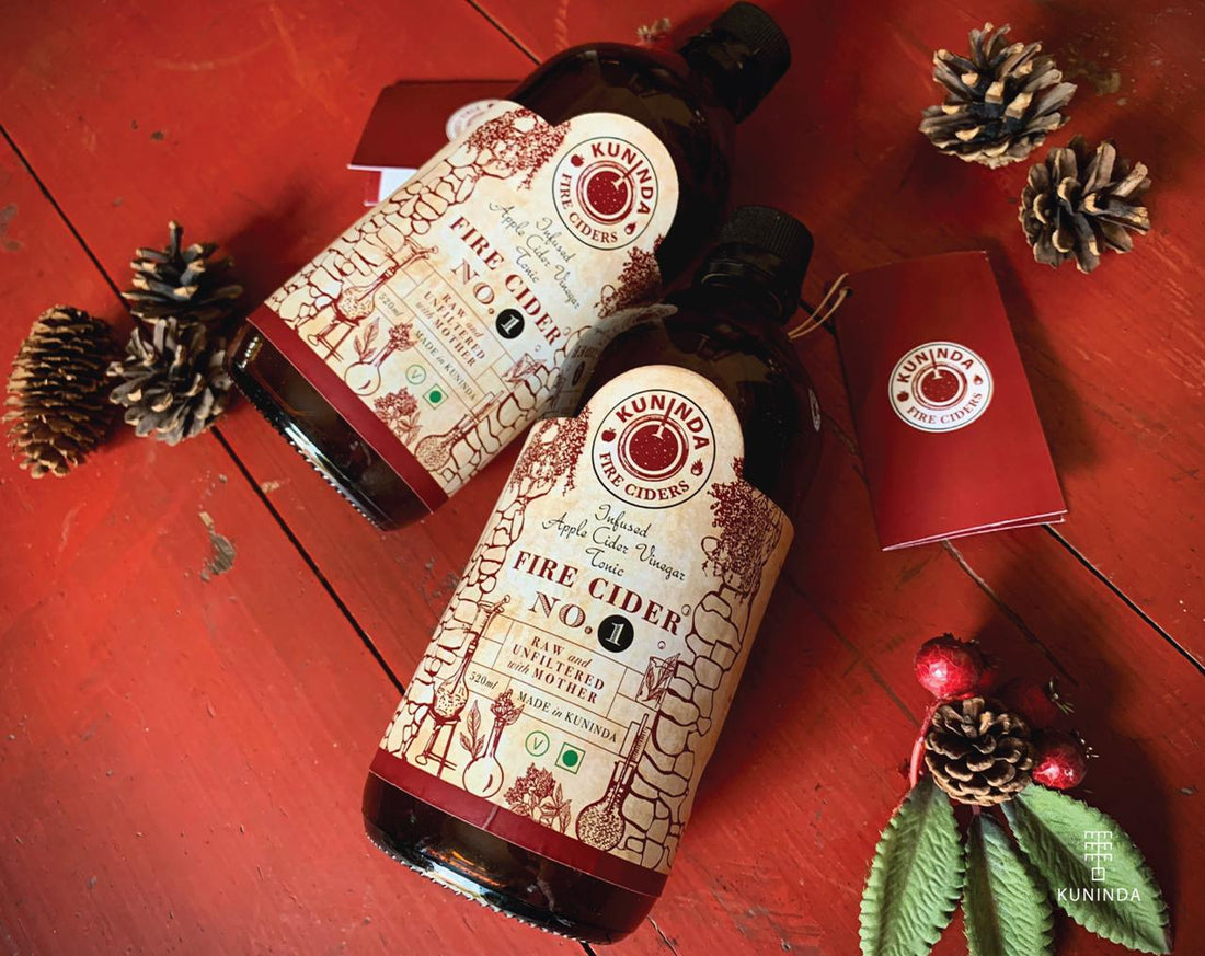 Fire Cider No 1 (Infused Apple Cider Vinegar Tonic) | Kuninda