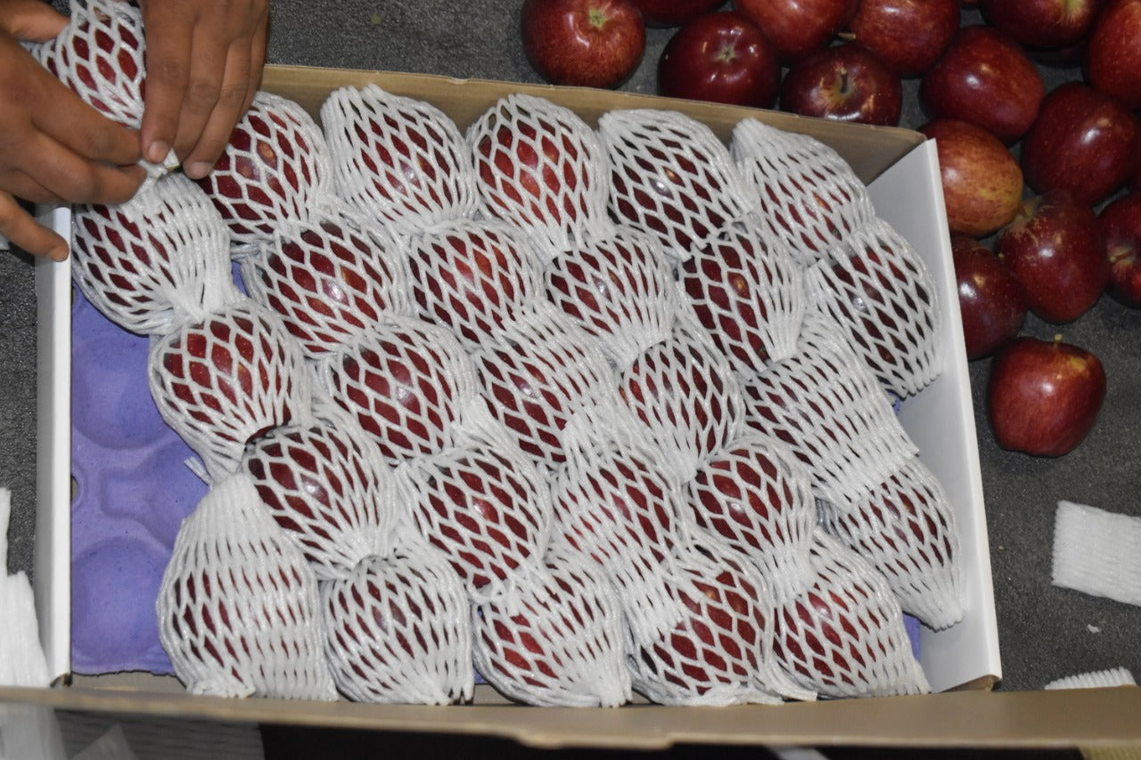 [Pre-order] Kinnaur Apples(Golden Kinnaur Apple, and Assorted Box (Golden/Black Gold) 5kgs