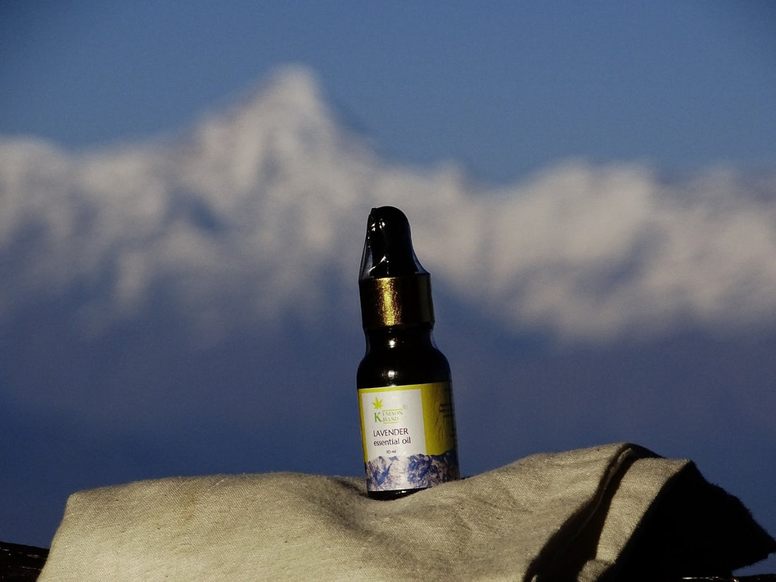 Buy lavender essential oil online
