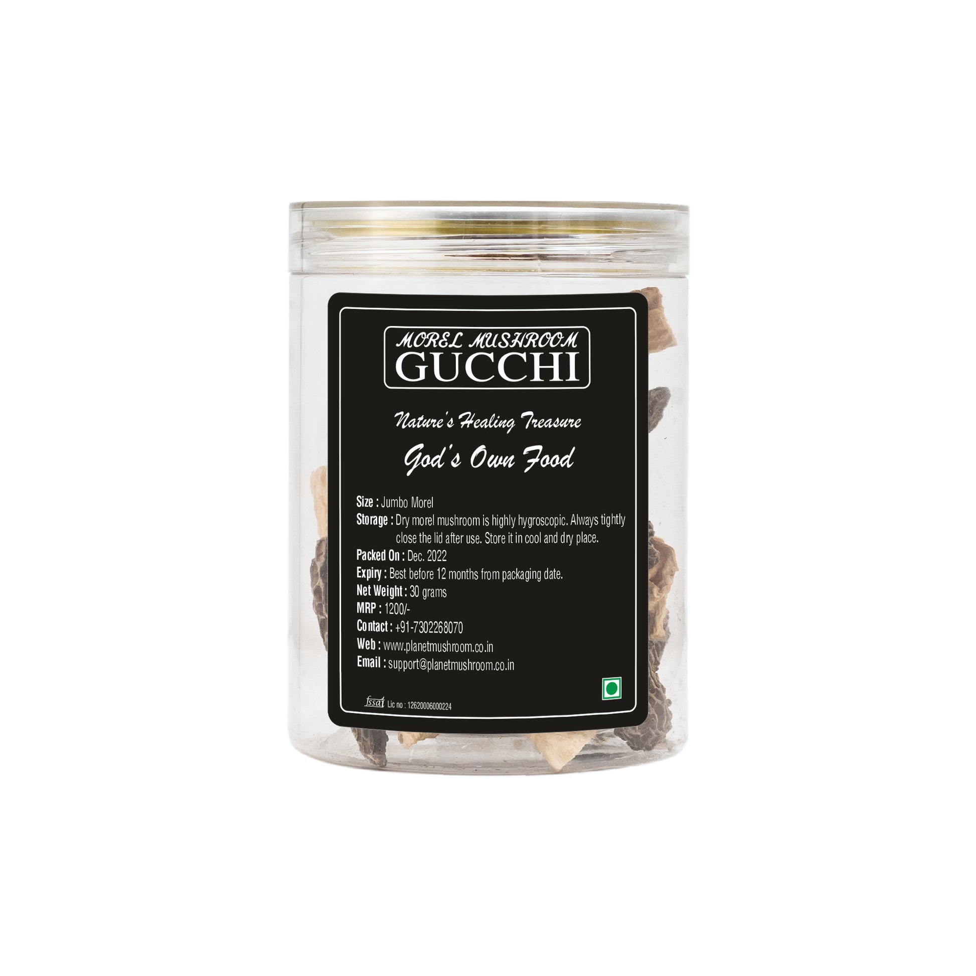 Morel Mushrooms Jumbo Size Gucchi